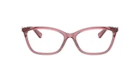 Coach Woman Transparent