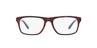 Polo Ralph Lauren Man Havana, Azure, Transparent Azure