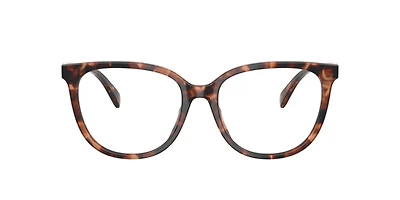 Coach Woman Tortoise