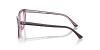 Ray-Ban Unisex Violet On Transparent Pink