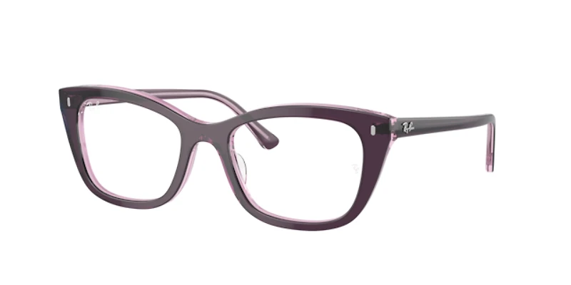 Ray-Ban Unisex Violet On Transparent Pink