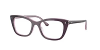 Ray-Ban Unisex Violet On Transparent Pink