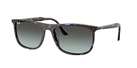 Ray-Ban Unisex Havana Blue Turtle