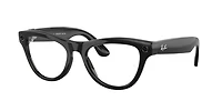 Ray-Ban Unisex Black