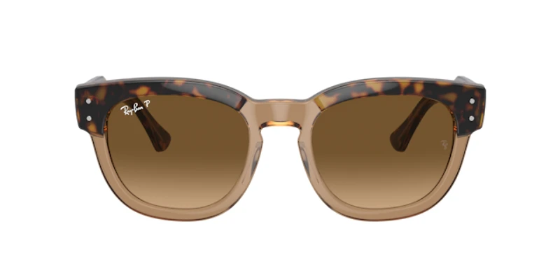 Ray-Ban Unisex Havana