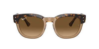 Ray-Ban Unisex Havana On Transparent Brown