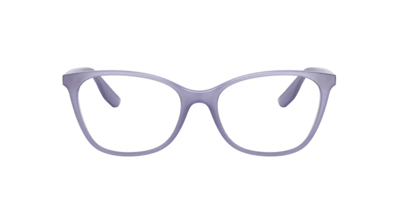 Chaps Woman Shiny Transparent Lilac