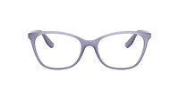 Chaps Woman Shiny Transparent Lilac