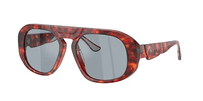 Ferrari Man Brown Tortoise