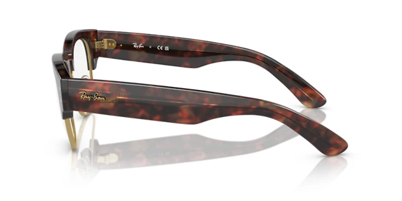 Ray-Ban Unisex Tortoise On Gold