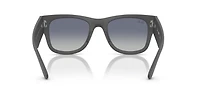 RB4840S Mega Wayfarer Liteforce