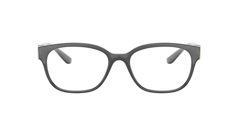 Dolce&Gabbana Woman Transparent Grey