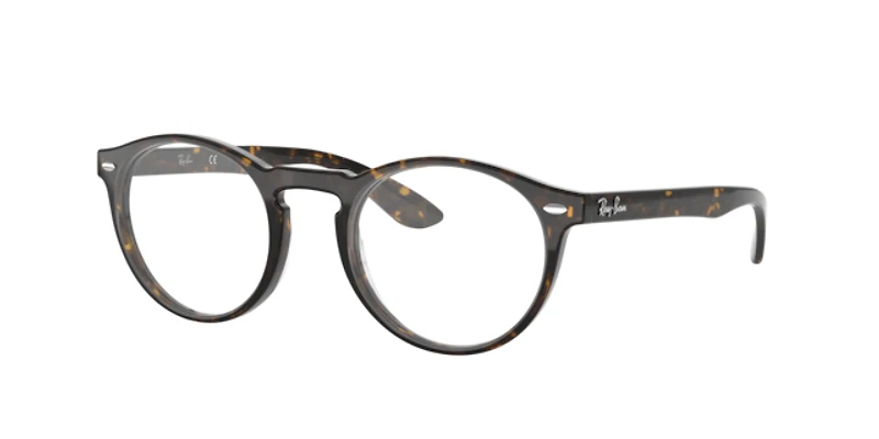 Ray-Ban Unisex Dark Havana