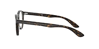 Ray-Ban Unisex Dark Havana