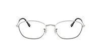 Ray-Ban Woman Silver
