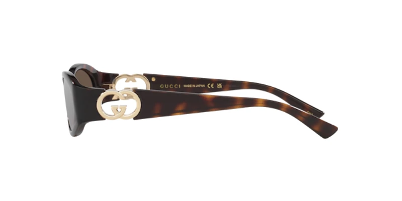 Gucci Woman Tortoise