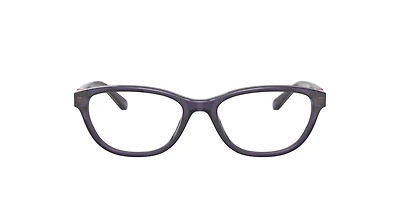 Polo Ralph Lauren Woman Shiny Transparent Purple