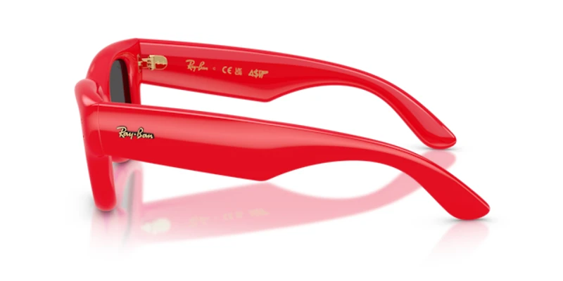 Ray-Ban Unisex