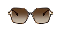 Ralph by Ralph Lauren Woman Shiny Dark Havana