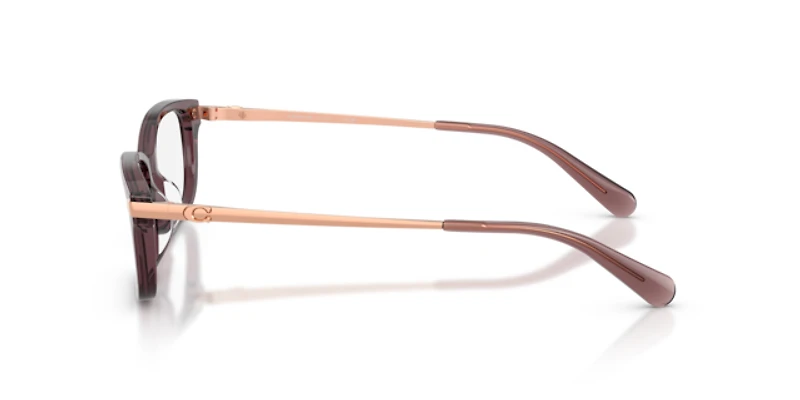 Coach Woman Transparent Iris