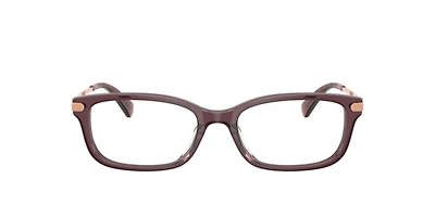 Coach Woman Transparent Iris