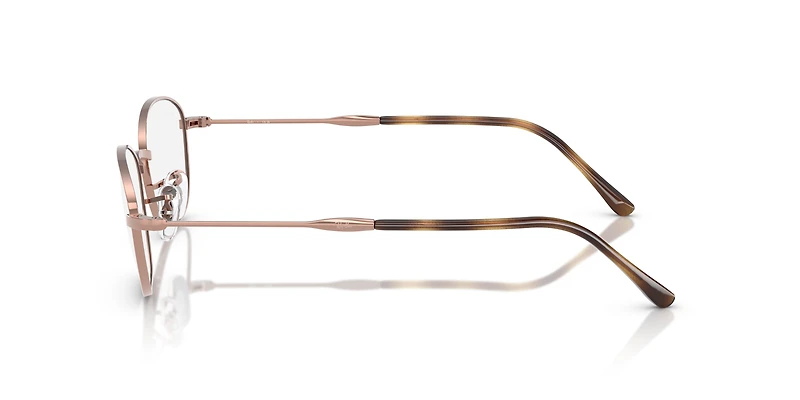 RB3749V Optics