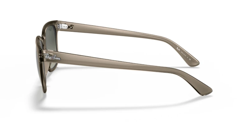 Ray-Ban Unisex Transparent Grey