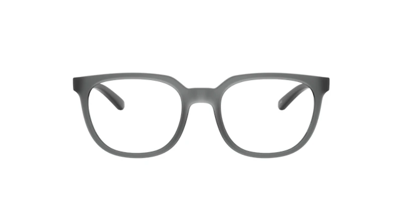 Arnette Man Transparent Grey Matte, Shiny