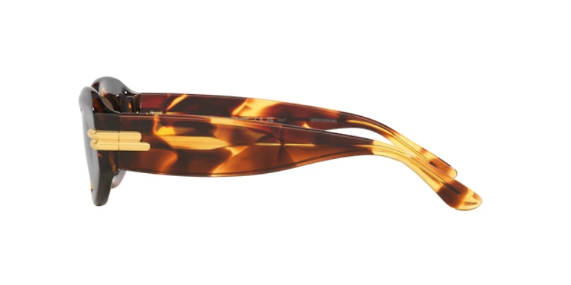Bottega Veneta Woman Tortoise