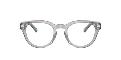 Polo Ralph Lauren Man Shiny Transparent Grey