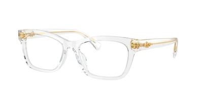 Ralph by Lauren Woman Shiny