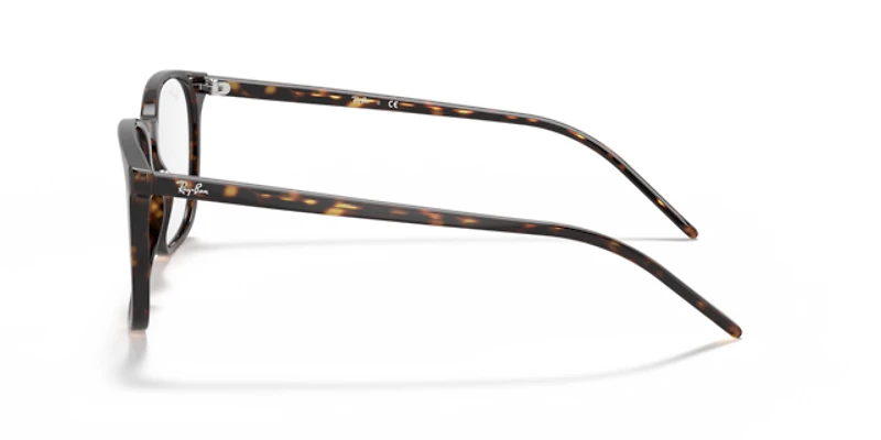 Ray-Ban Unisex Havana