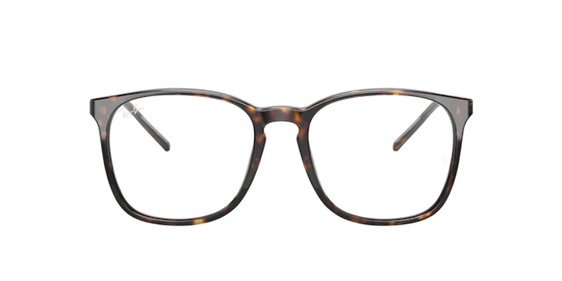 Ray-Ban Unisex Havana