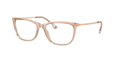 Versace Woman Transparent
