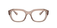 Ray-Ban Unisex Transparent Light Brown