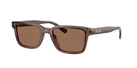 Brooks Brothers Man Brown