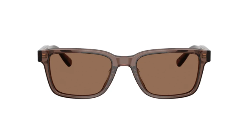 Brooks Brothers Man Brown