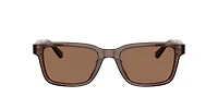 Brooks Brothers Man Brown
