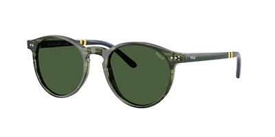 Polo Ralph Lauren Man Striped Green Havana