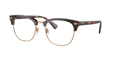 Polo Ralph Lauren Man Shiny Brown Tortoise