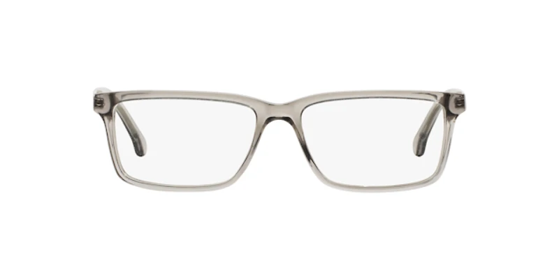 Brooks Brothers Man Transparent Grey