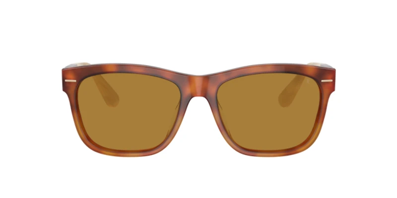 Brunello Cucinelli Unisex Havana