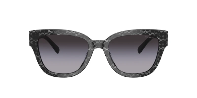 Coach Woman Grey Pearl Signature C