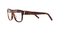 Saint Laurent Woman Tortoise Tan