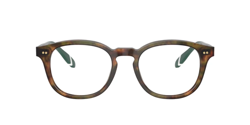 Polo Ralph Lauren Man Shiny Brown Tortoise