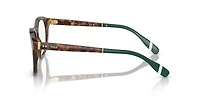 Polo Ralph Lauren Man Shiny Brown Tortoise