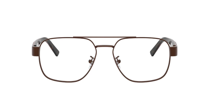 Scuderia Ferrari Man Shiny Brown