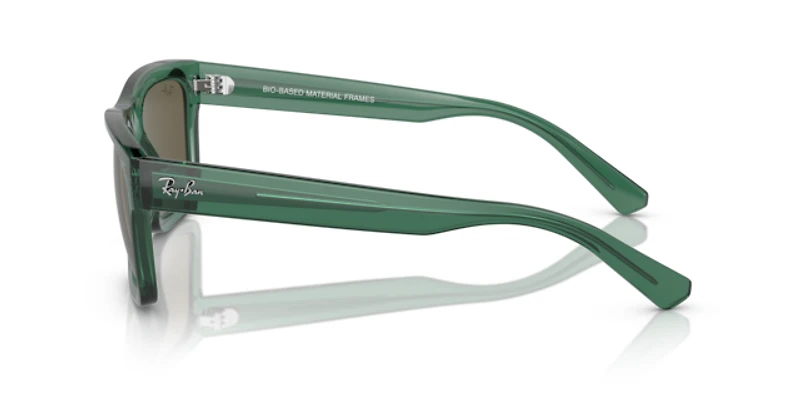 Ray-Ban Unisex Transparent Green