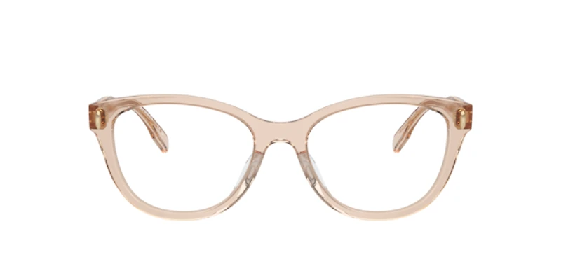 Tory Burch Woman Transparent Brown