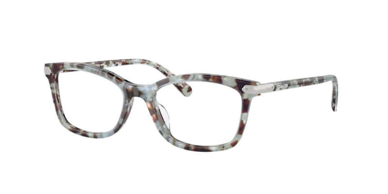 Coach Woman Seaglass Tortoise